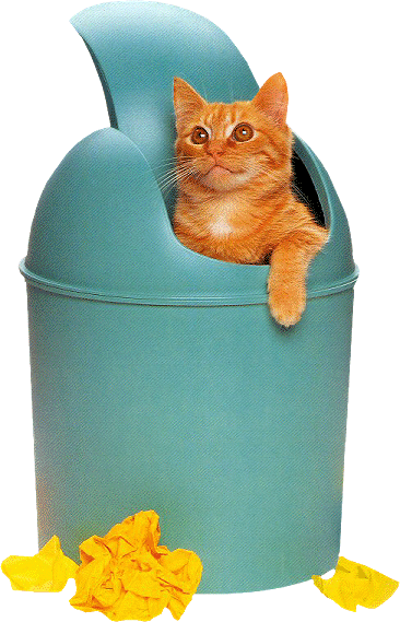 Image h�berg�e par Casimages.com : votre h�bergeur d images simple et gratuit