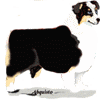 Image h�berg�e par Casimages.com : votre h�bergeur d images simple et gratuit