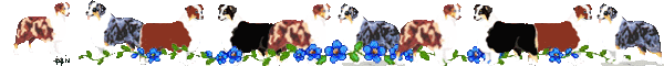 Image h�berg�e par Casimages.com : votre h�bergeur d images simple et gratuit