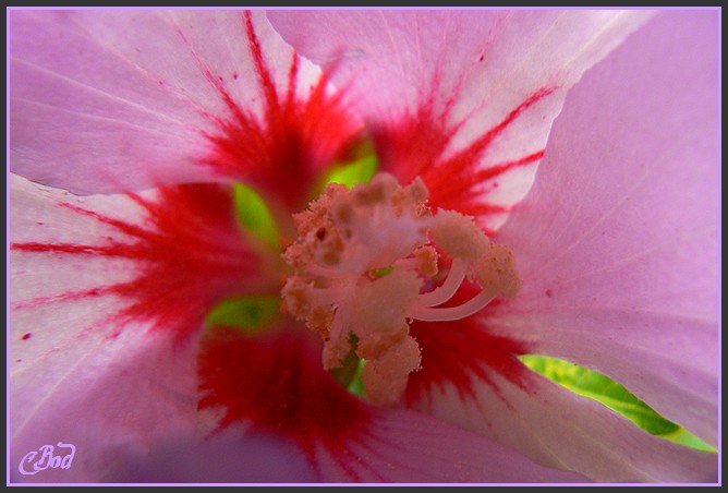 Image h�berg�e par Casimages.com : votre h�bergeur d images simple et gratuit