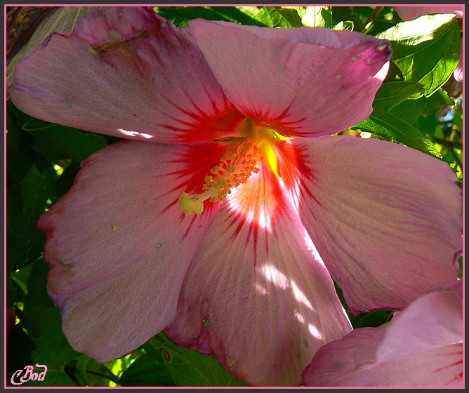 Image h�berg�e par Casimages.com : votre h�bergeur d images simple et gratuit