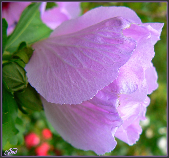 Image h�berg�e par Casimages.com : votre h�bergeur d images simple et gratuit