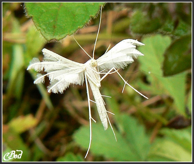 Image hébergée par Casimages.com : votre hébergeur d images simple et gratuit