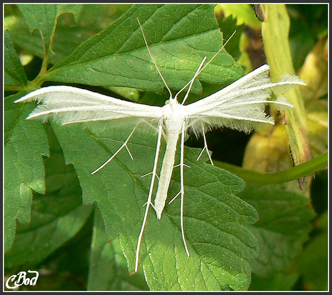 Image h�berg�e par Casimages.com : votre h�bergeur d images simple et gratuit