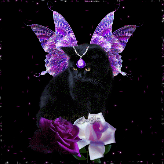 Image hébergée par Casimages.com : votre hébergeur d images simple et gratuit