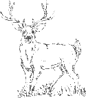 Image hébergée par Casimages.com : votre hébergeur d images simple et gratuit