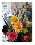 Cliquez pour afficher l'image en taille r�elle