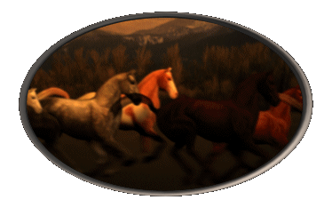 Image hébergée par Casimages.com : votre hébergeur d images simple et gratuit