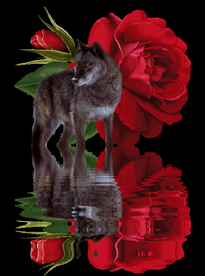 Image hébergée par Casimages.com : votre hébergeur d images simple et gratuit