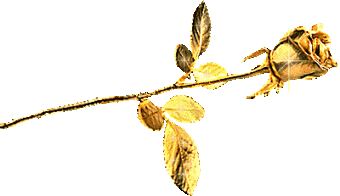 Image hébergée par Casimages.com : votre hébergeur d images simple et gratuit