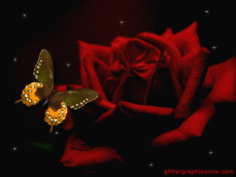 Image hébergée par Casimages.com : votre hébergeur d images simple et gratuit