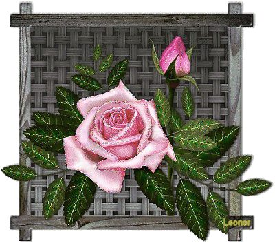 Image hébergée par Casimages.com : votre hébergeur d images simple et gratuit