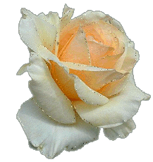 Image hébergée par Casimages.com : votre hébergeur d images simple et gratuit