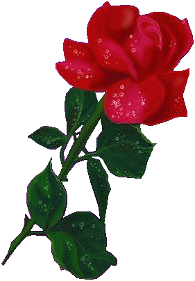 Image hébergée par Casimages.com : votre hébergeur d images simple et gratuit