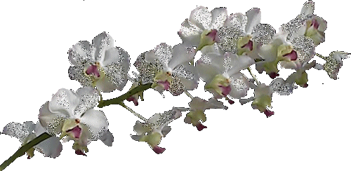 Image hébergée par Casimages.com : votre hébergeur d images simple et gratuit