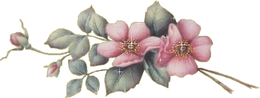 Image hébergée par Casimages.com : votre hébergeur d images simple et gratuit