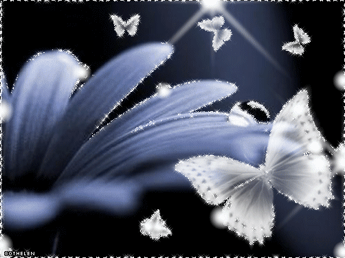 Image hébergée par Casimages.com : votre hébergeur d images simple et gratuit