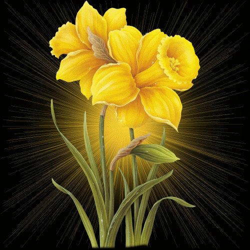 Image hébergée par Casimages.com : votre hébergeur d images simple et gratuit