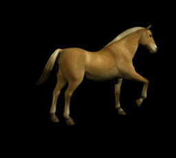 Image h�berg�e par Casimages.com : votre h�bergeur d images simple et gratuit