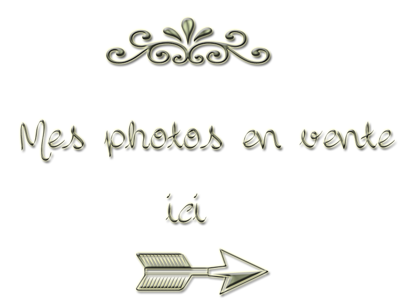 clique ici 
