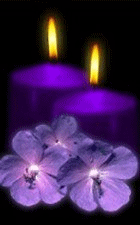 Image hébergée par Casimages.com : votre hébergeur d images simple et gratuit