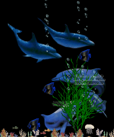 Image hébergée par Casimages.com : votre hébergeur d images simple et gratuit