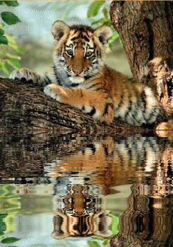 Image hébergée par Casimages.com : votre hébergeur d images simple et gratuit