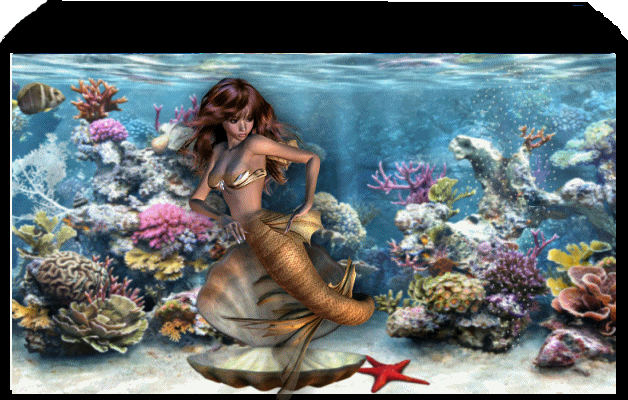 Image hébergée par Casimages.com : votre hébergeur d images simple et gratuit