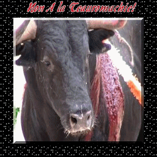 Image h�berg�e par Casimages.com : votre h�bergeur d images simple et gratuit
