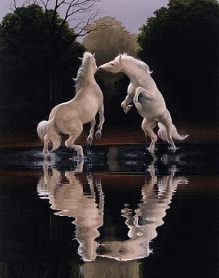 Image hébergée par Casimages.com : votre hébergeur d images simple et gratuit