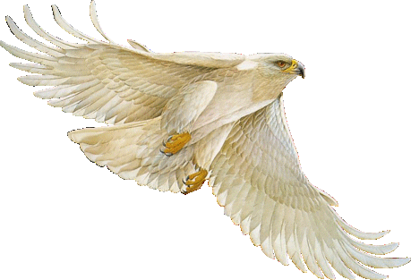 Image hébergée par Casimages.com : votre hébergeur d images simple et gratuit