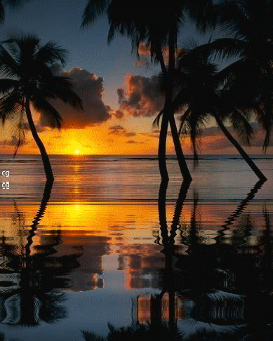 Image hébergée par Casimages.com : votre hébergeur d images simple et gratuit