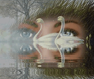 Image hébergée par Casimages.com : votre hébergeur d images simple et gratuit