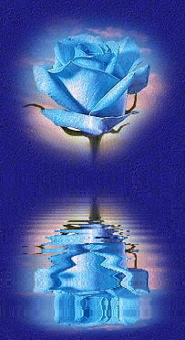 Image hébergée par Casimages.com : votre hébergeur d images simple et gratuit