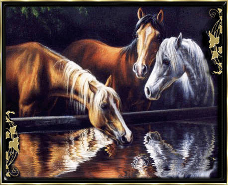 Image hébergée par Casimages.com : votre hébergeur d images simple et gratuit