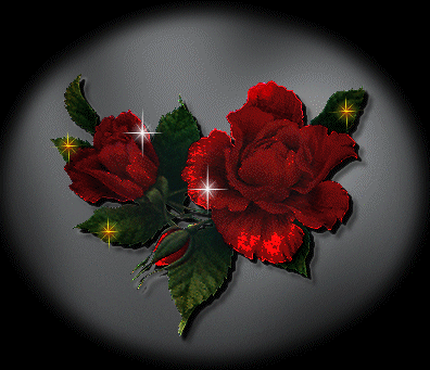 Image hébergée par Casimages.com : votre hébergeur d images simple et gratuit
