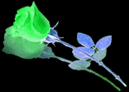 Image hébergée par Casimages.com : votre hébergeur d images simple et gratuit