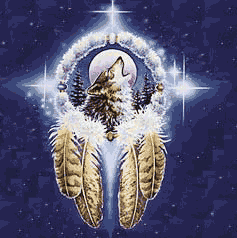 Image hébergée par Casimages.com : votre hébergeur d images simple et gratuit