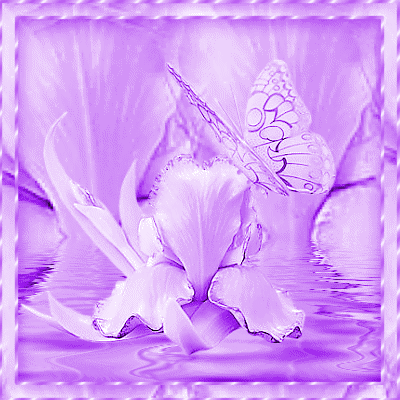 Image hébergée par Casimages.com : votre hébergeur d images simple et gratuit