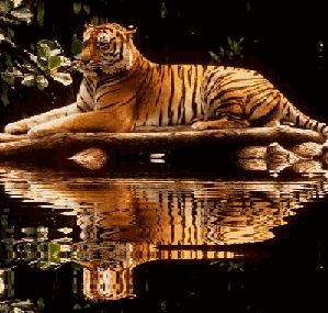 Image hébergée par Casimages.com : votre hébergeur d images simple et gratuit