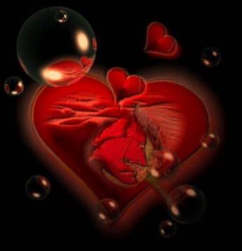 Image hébergée par Casimages.com : votre hébergeur d images simple et gratuit