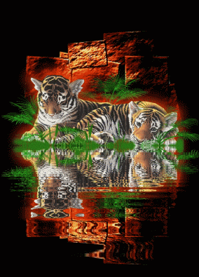 Image hébergée par Casimages.com : votre hébergeur d images simple et gratuit