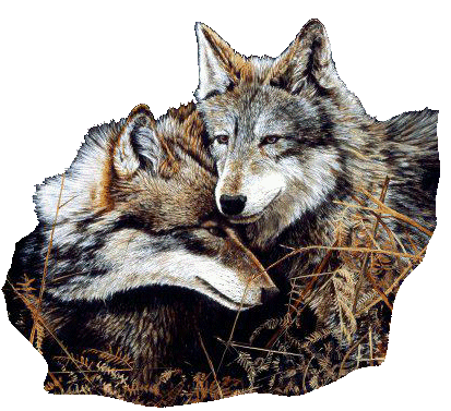 Image hébergée par Casimages.com : votre hébergeur d images simple et gratuit