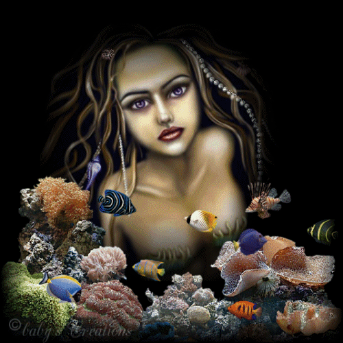Image hébergée par Casimages.com : votre hébergeur d images simple et gratuit