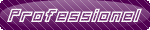 Professionel Professionel