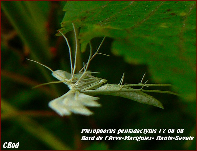 Image h�berg�e par Casimages.com : votre h�bergeur d images simple et gratuit