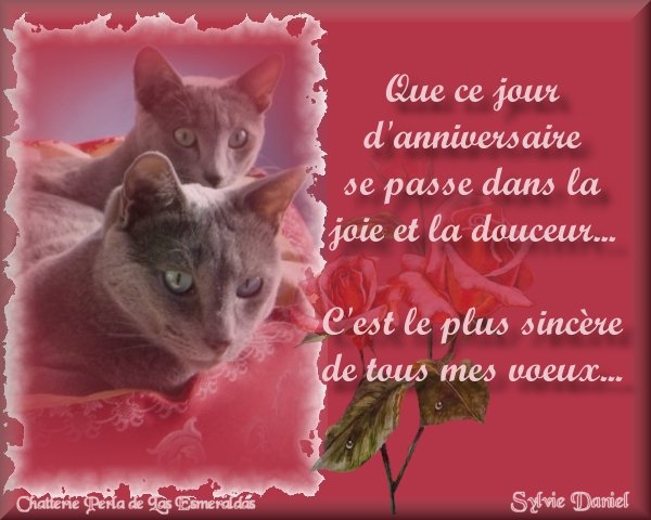 Image hébergée par Casimages.com : votre hébergeur d images simple et gratuit