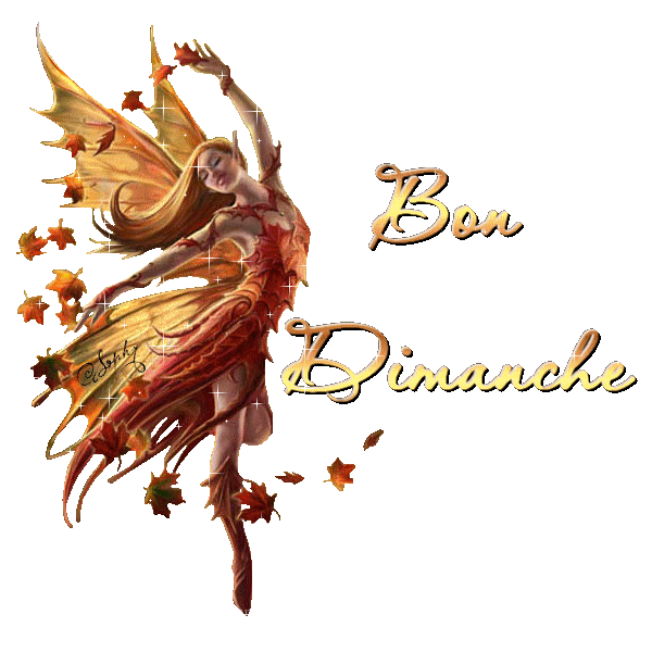Image hébergée par Casimages.com : votre hébergeur d images simple et gratuit