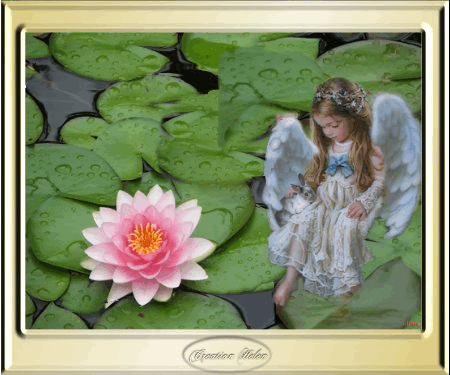 Image hébergée par Casimages.com : votre hébergeur d images simple et gratuit