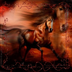 Image hébergée par Casimages.com : votre hébergeur d images simple et gratuit
